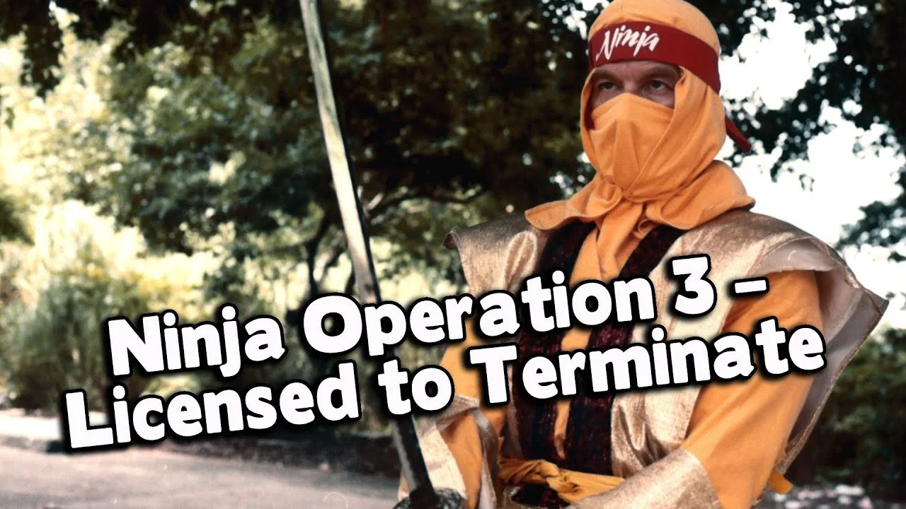Ninja Operation 3: Licensed to Terminate - 剧照