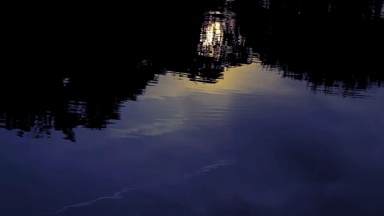 Denomination: Sorrow - 剧照