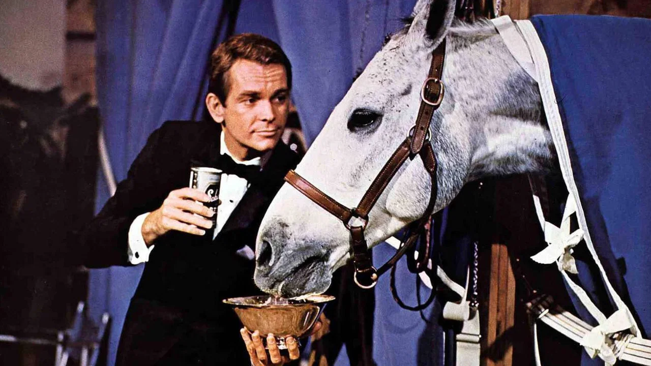 The Horse in the Gray Flannel Suit - 剧照