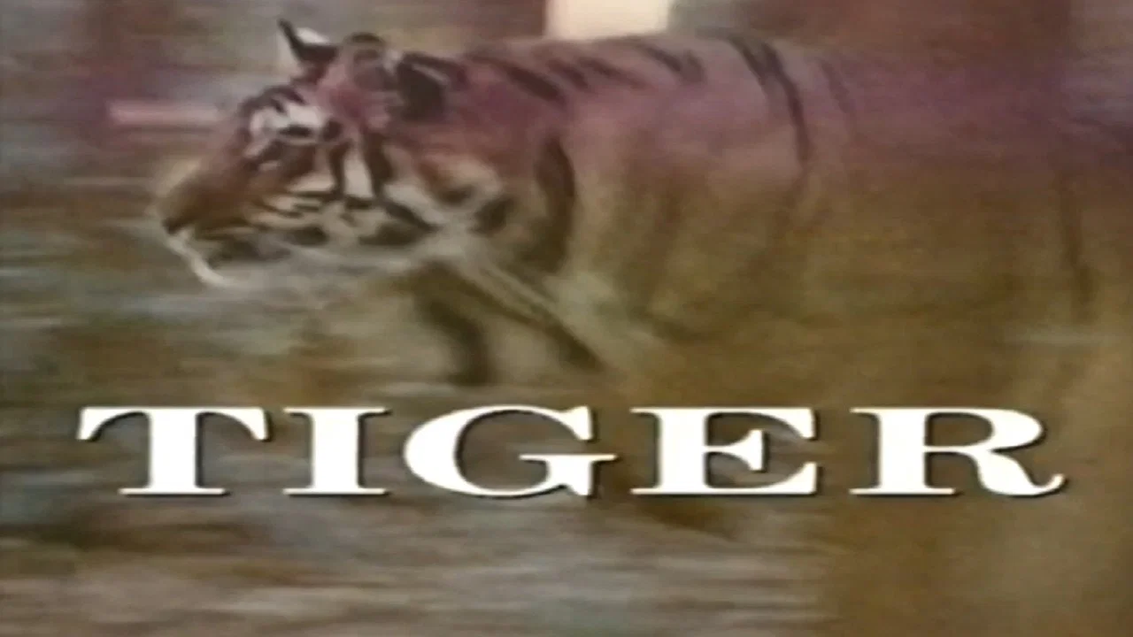 Predators of the Wild: Tiger - 剧照