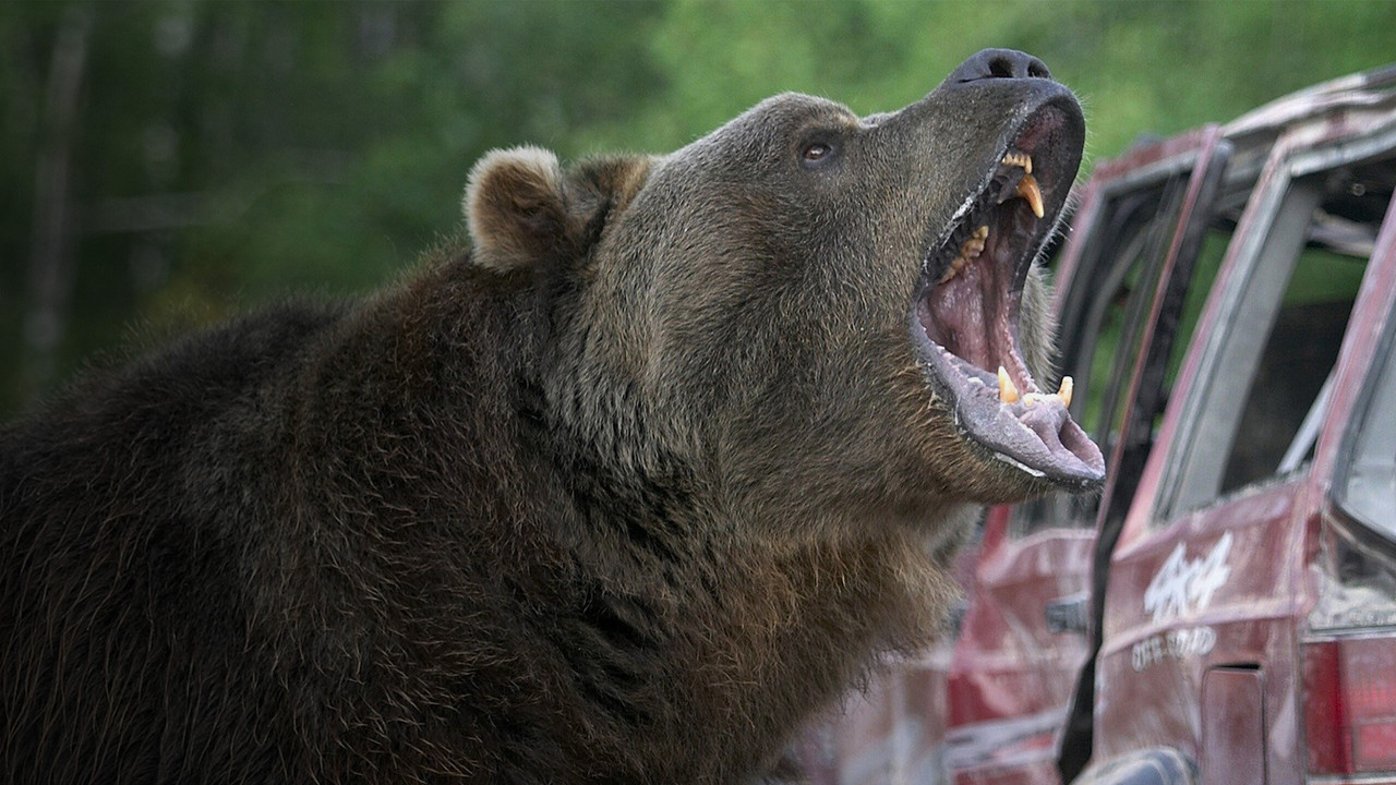Grizzly Rage - 剧照