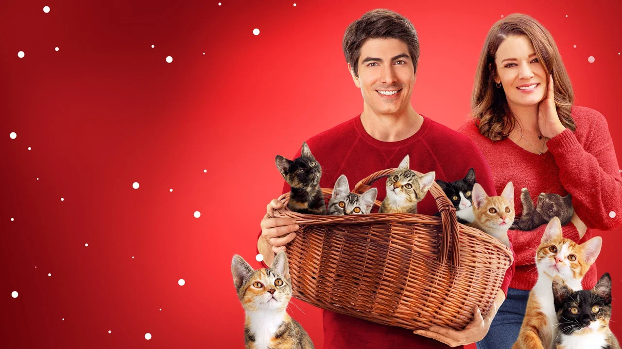 The Nine Kittens of Christmas - 剧照
