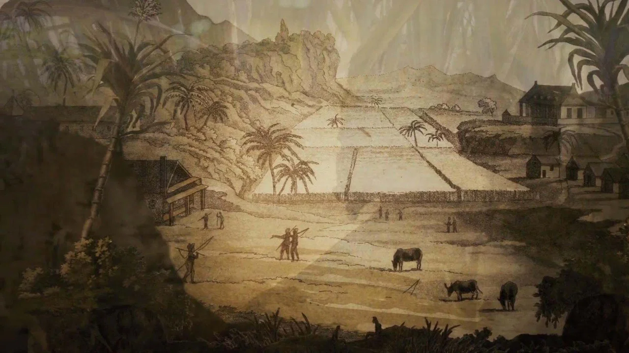 Bois d'&eacute;b&egrave;ne - 剧照