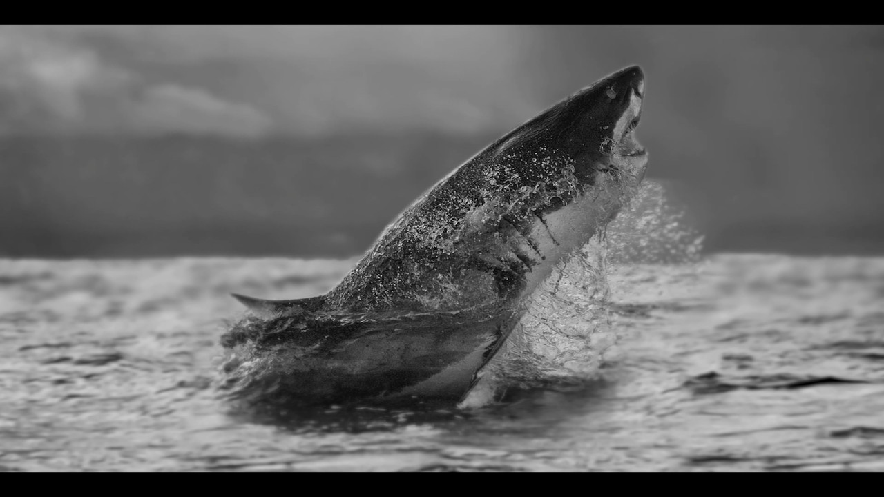 Air Jaws Strikes Back - 剧照