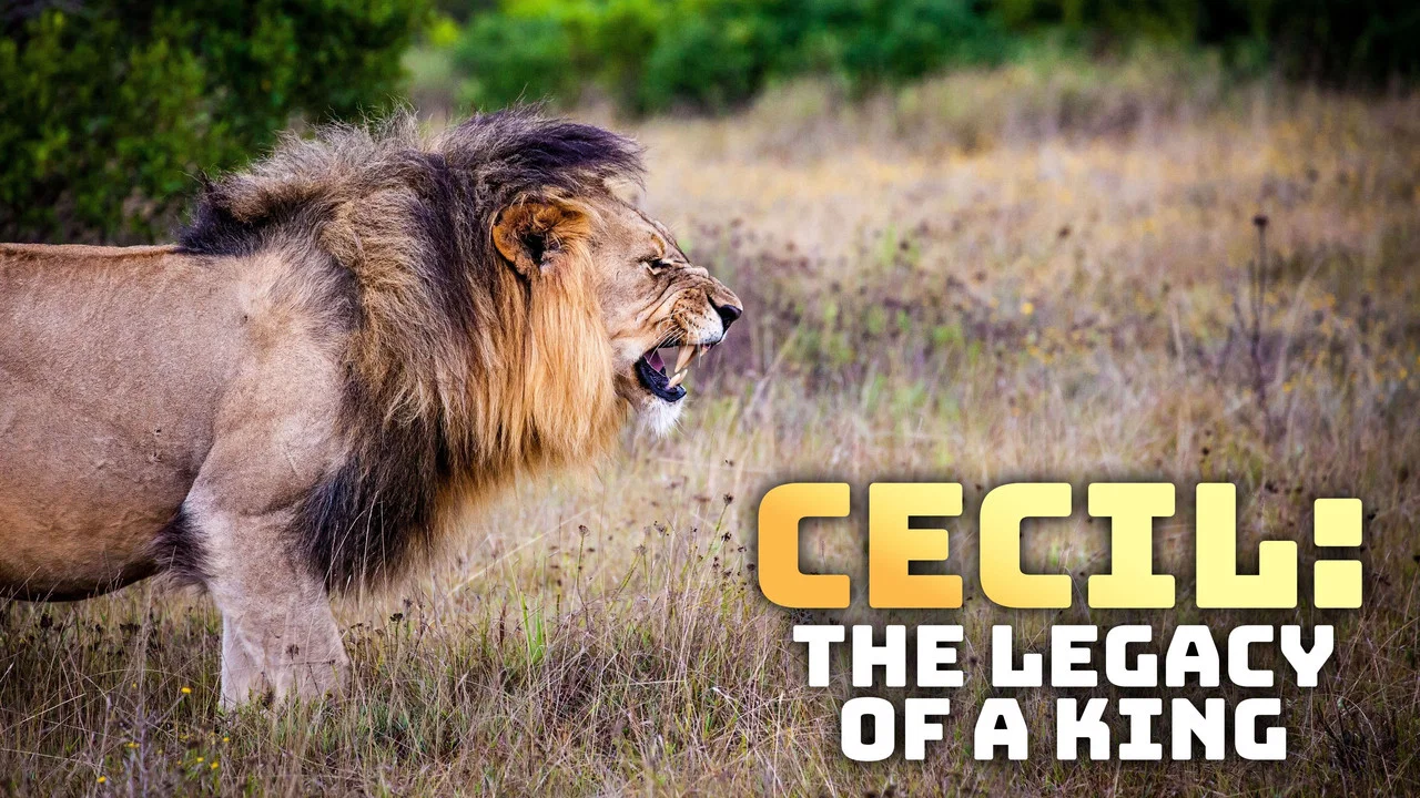 Cecil: The Legacy of a King - 剧照