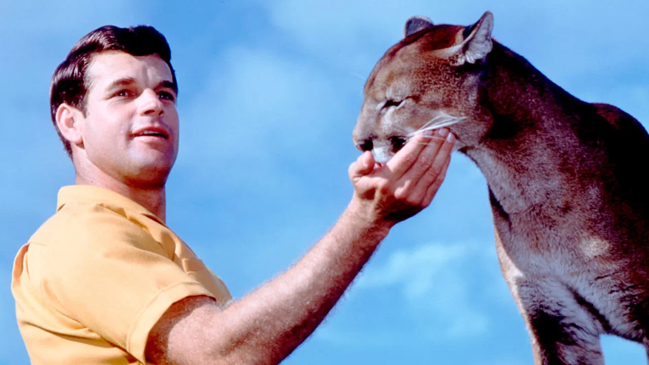 Charlie, the Lonesome Cougar - 剧照
