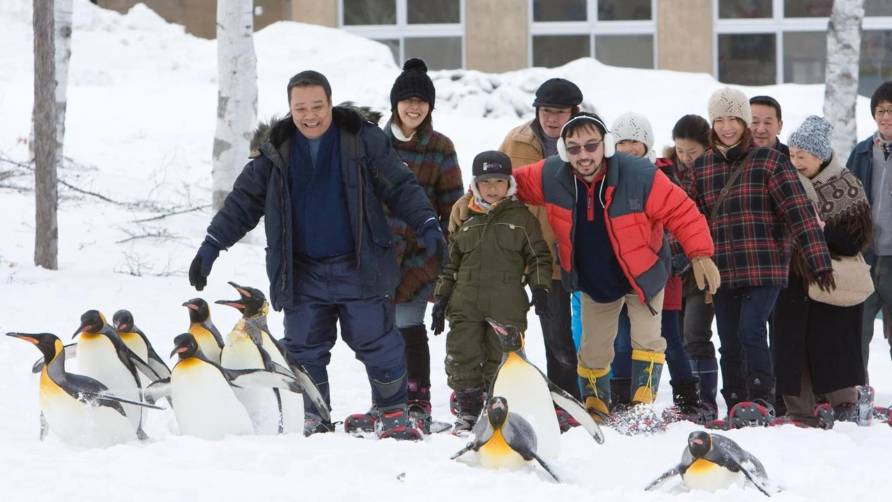 旭山動物園物語 ペンギンが空をとぶ - 剧照