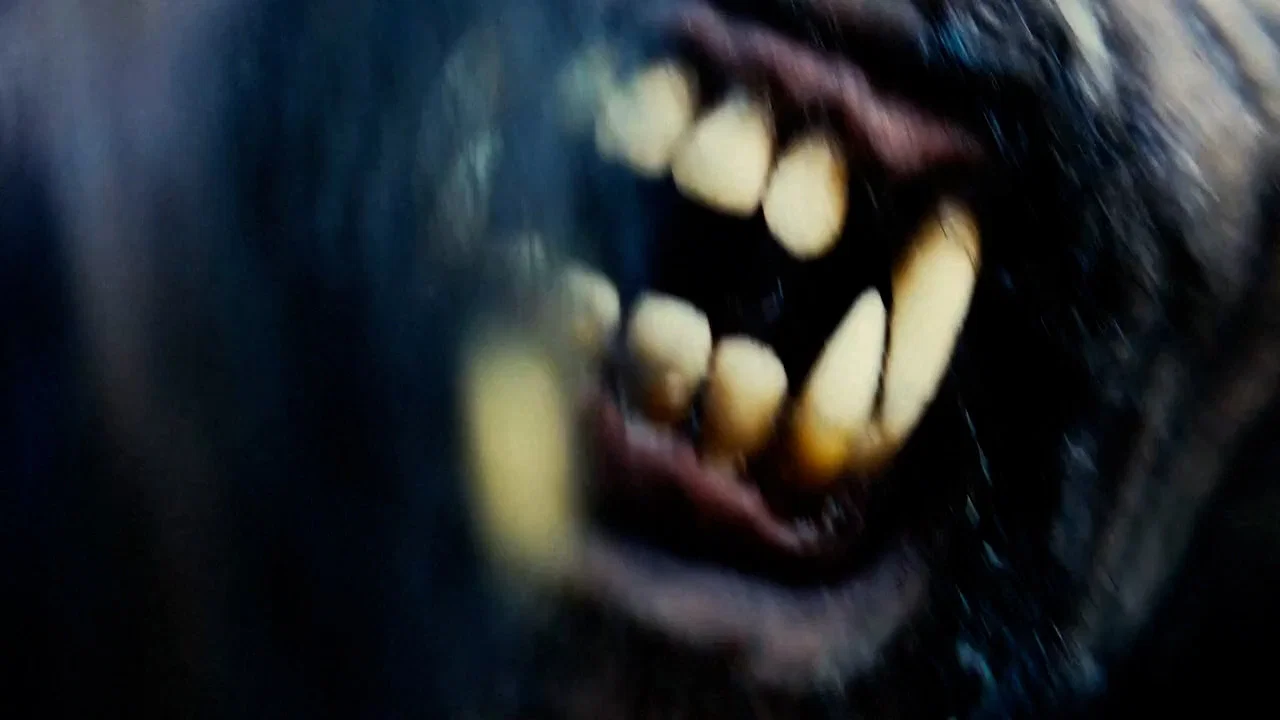 Tahoe Joe 2: The Sierra Nevada Bigfoot Conspiracy - 剧照