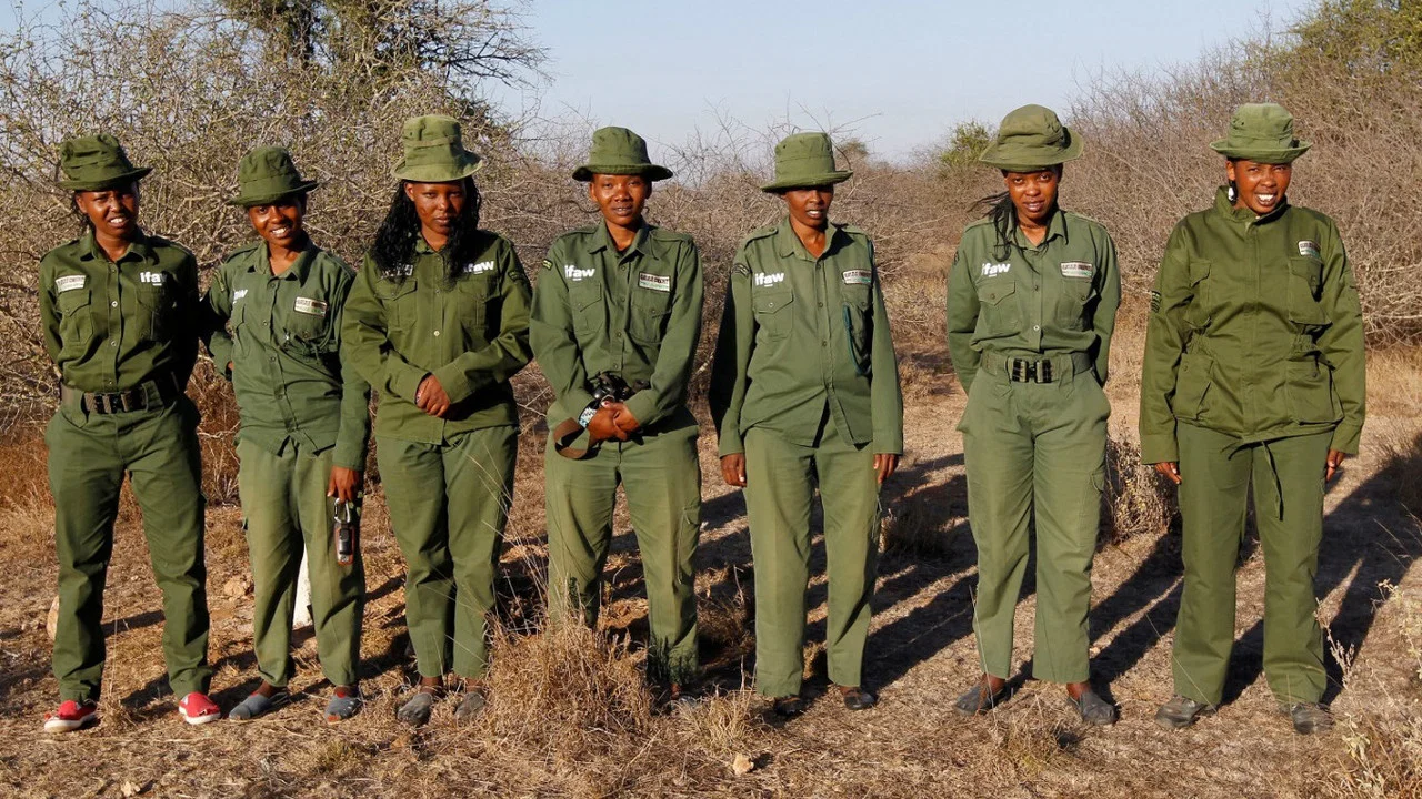 Femmes, Massa&iuml;s et Rangers - Les lionnes du Kenya - 剧照
