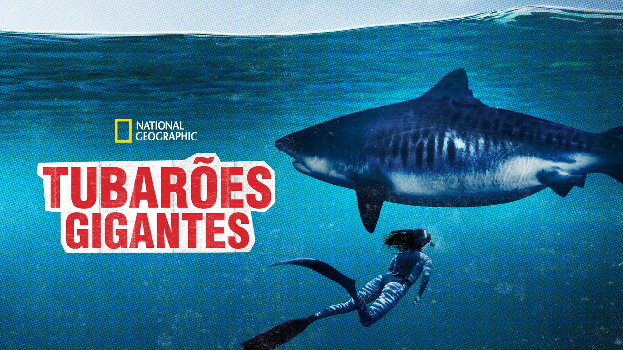 World's Biggest Tiger Shark - 剧照