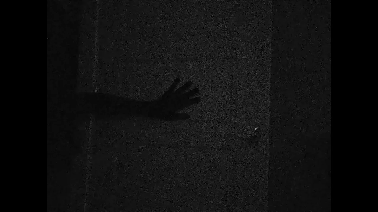 The Friend - 剧照