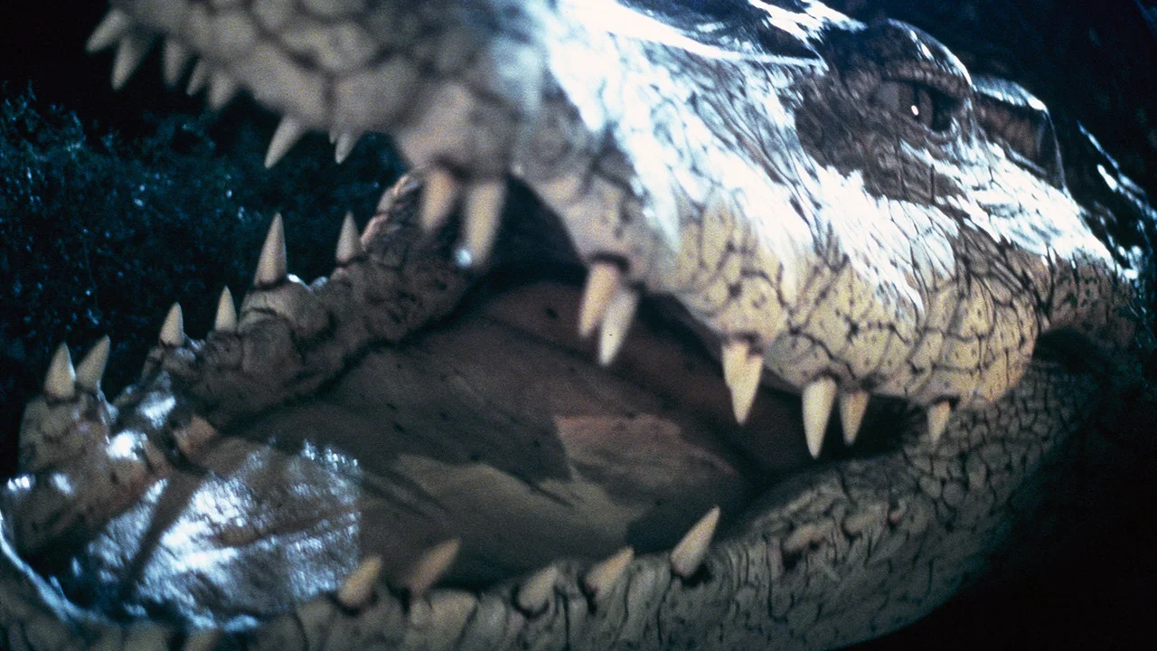 Crocodile - 剧照
