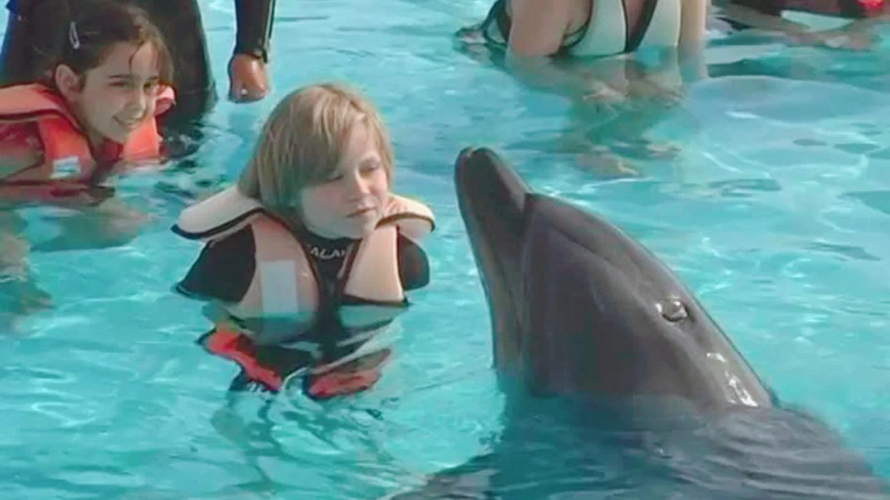 Saving Flipper - 剧照