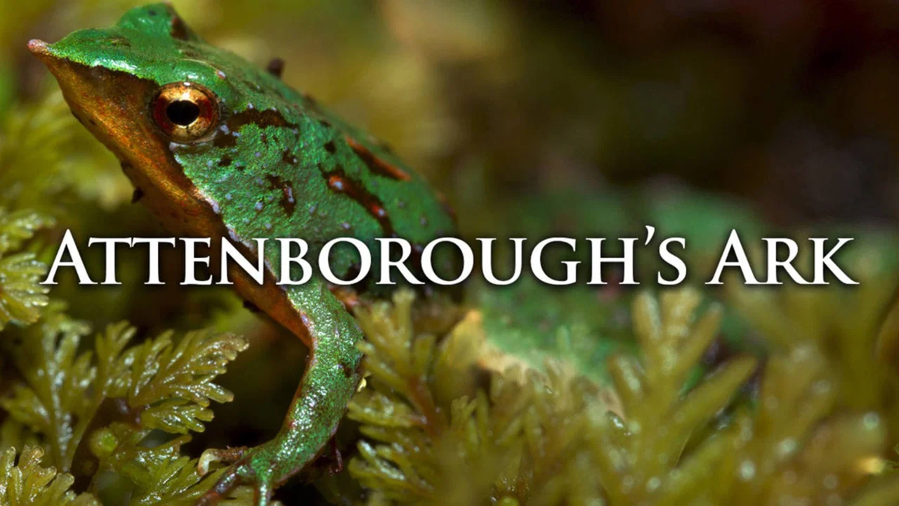Attenborough's Ark - 剧照
