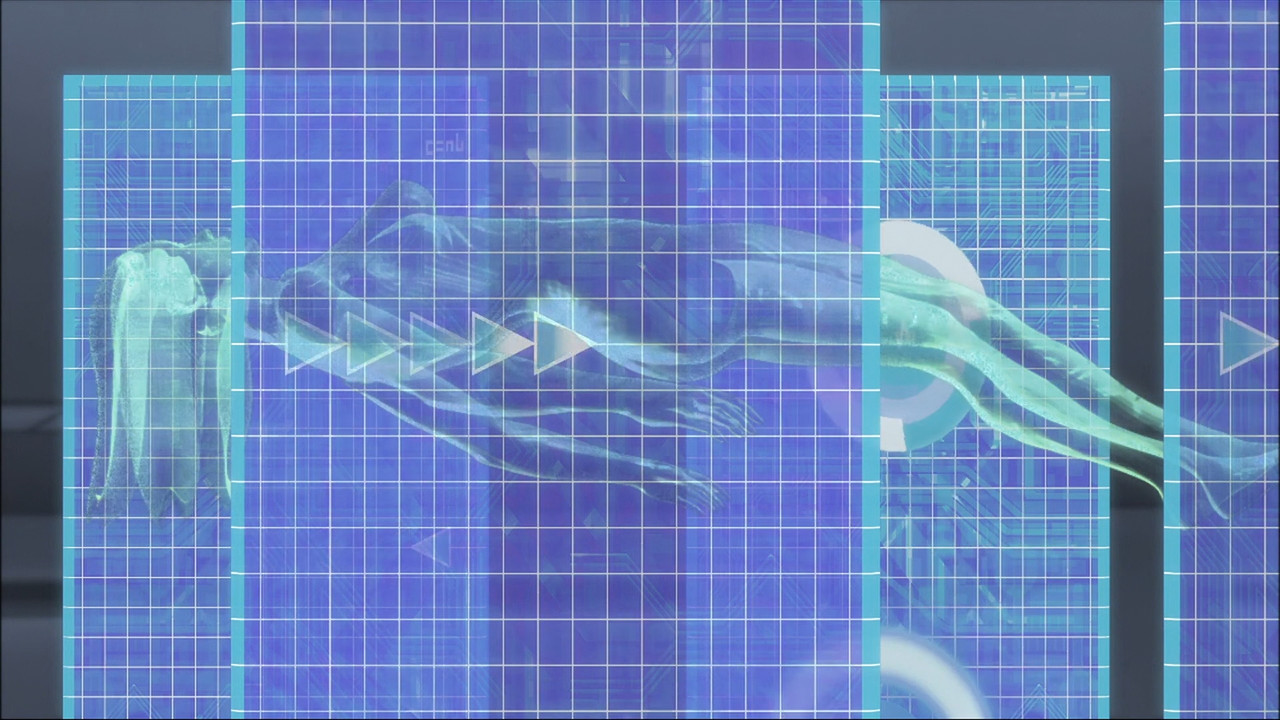 洛克人EXE 光与暗之遗产 - 剧照