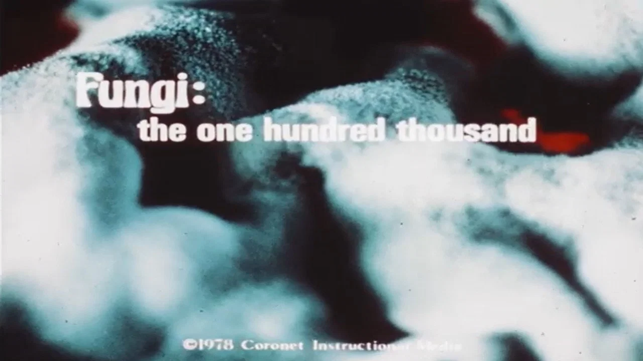 Fungi: The One Hundred Thousand - 剧照