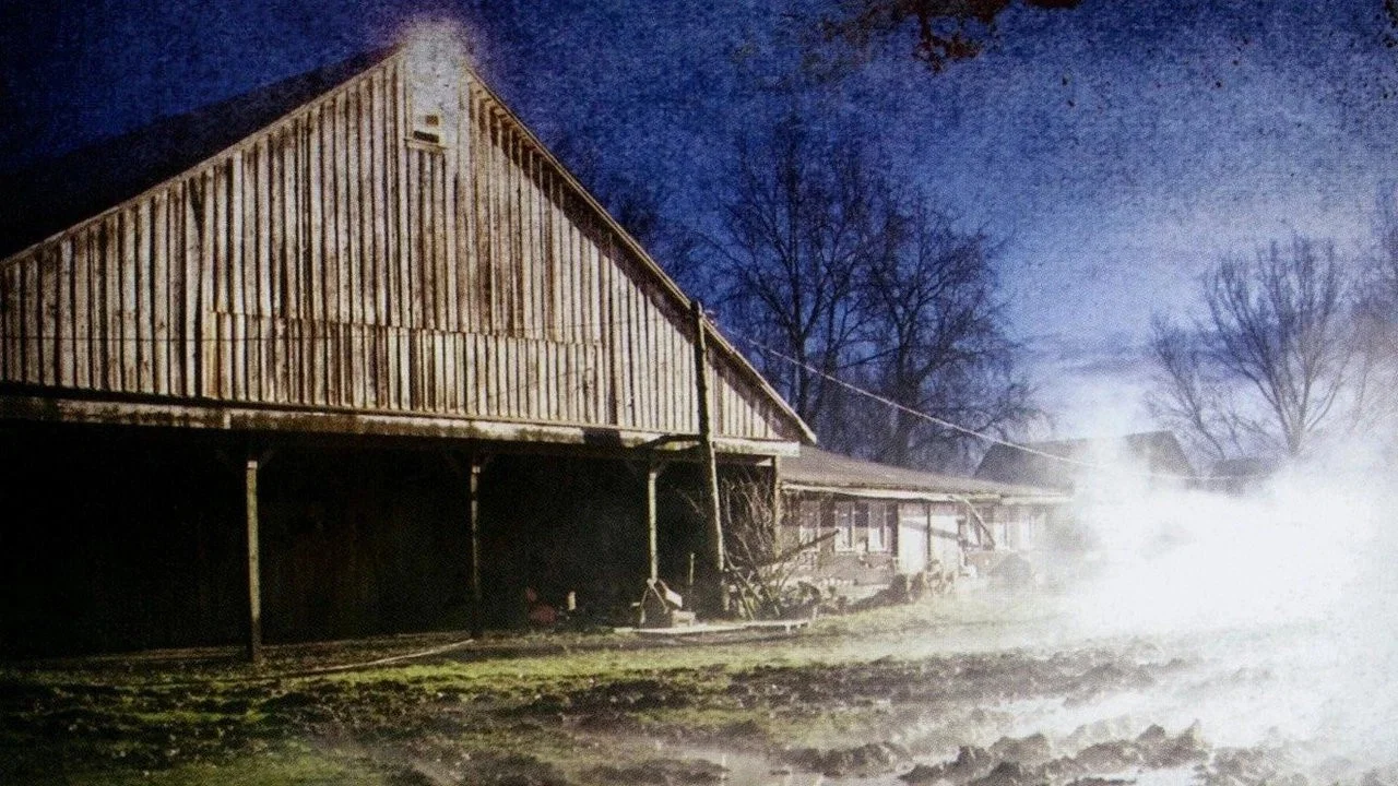 The Pig Farm - 剧照