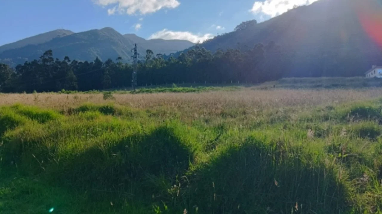 Wakcha Tamya - 剧照
