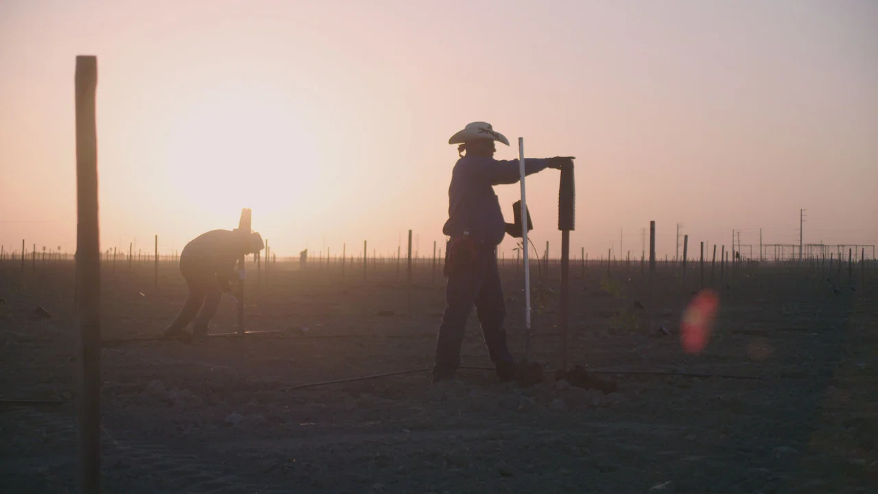 Oaxacalifornia: El Regreso - 剧照