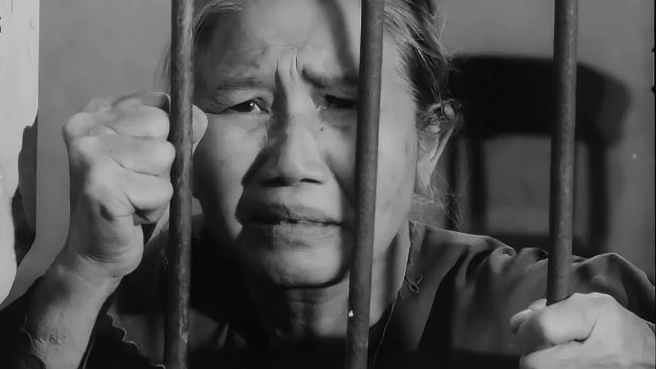 Tướng Về Hưu - 剧照