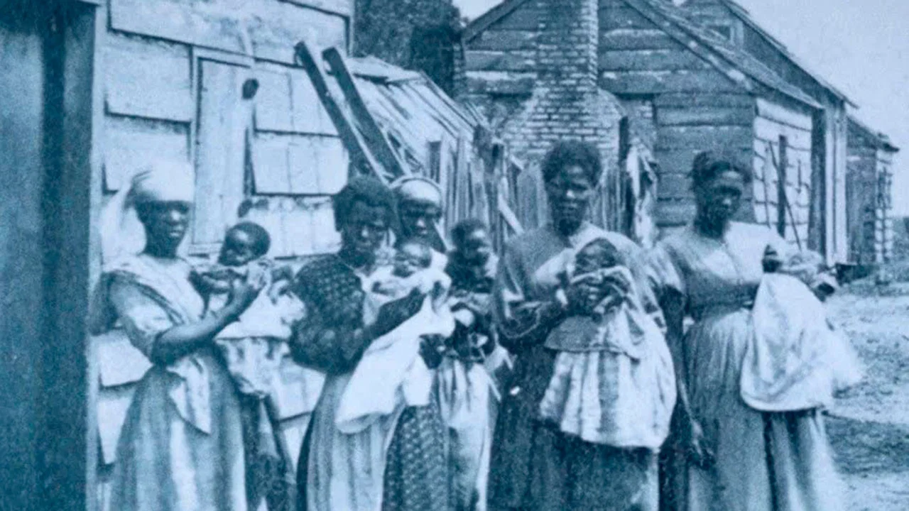 Birthing a Nation: The Resistance of Mary Gaffney - 剧照