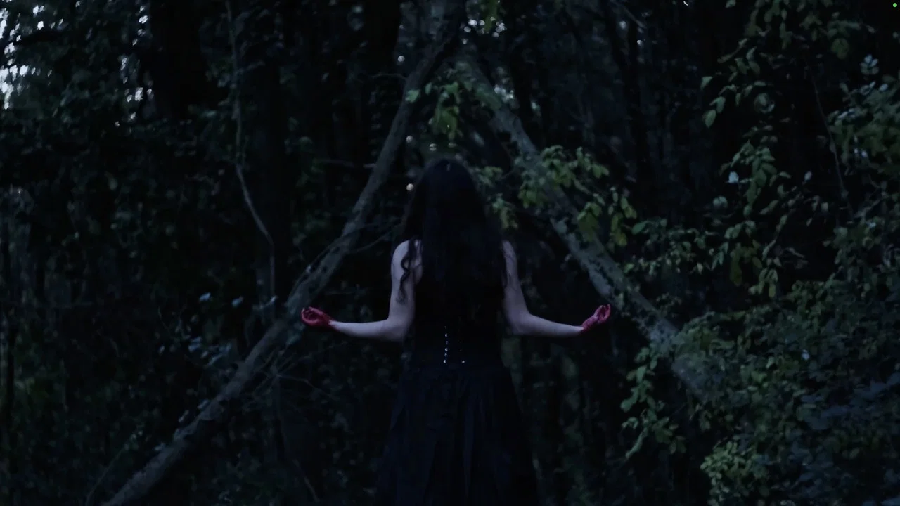 Il Sogno di Adelchi - 剧照