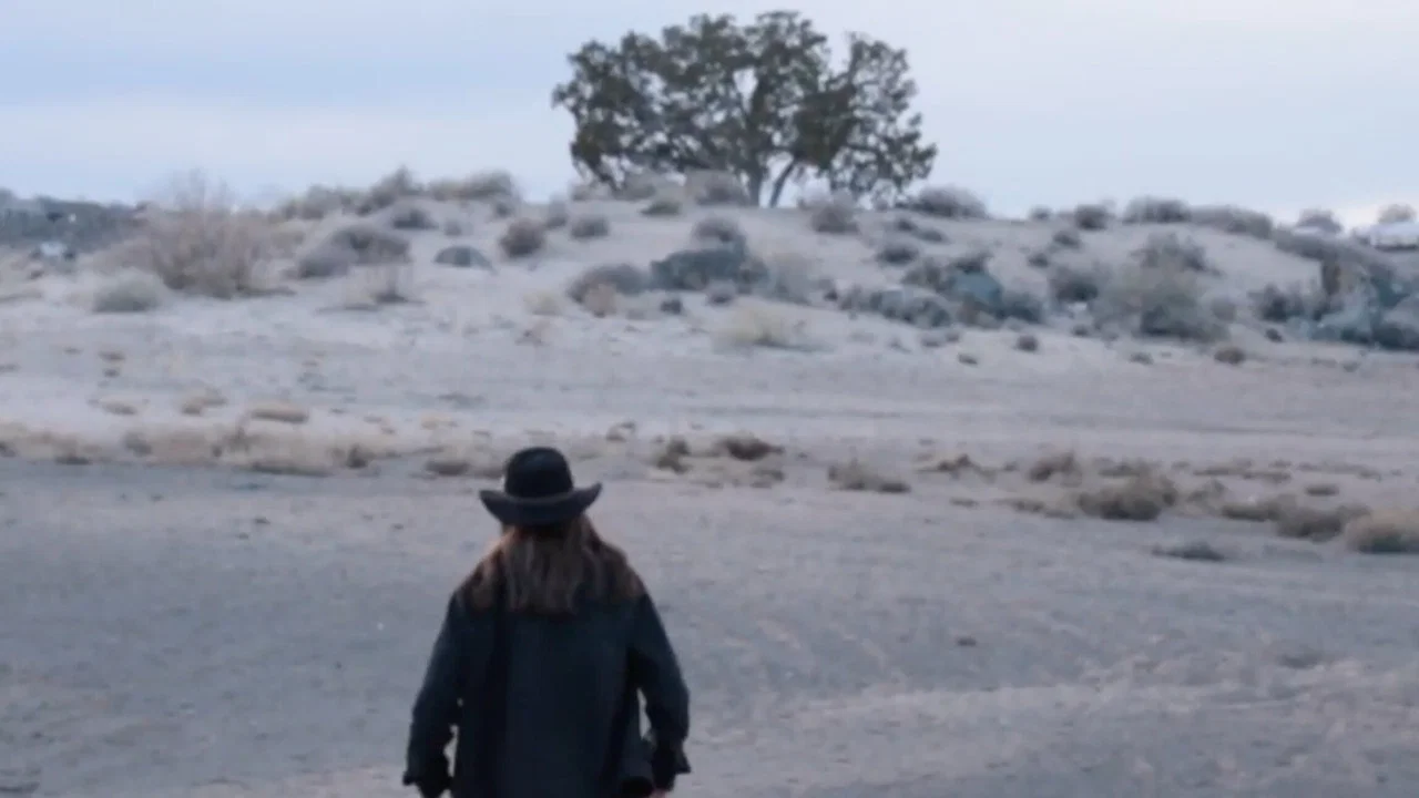 Man in the Mesa - 剧照
