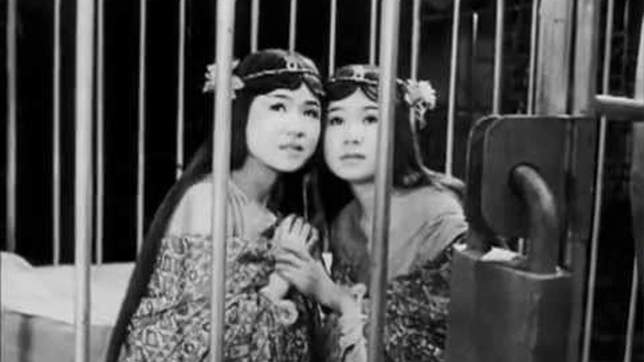 The Women of Godzilla - 剧照