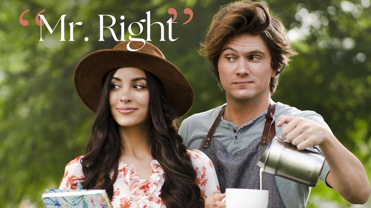 Mr. Right - 剧照