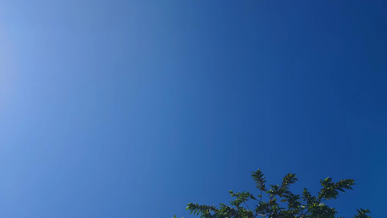 A P&iacute;lula Azul - 剧照