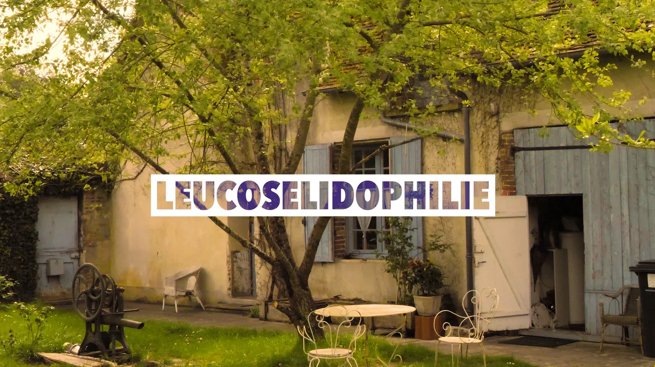 Leucos&eacute;lidophilie - 剧照