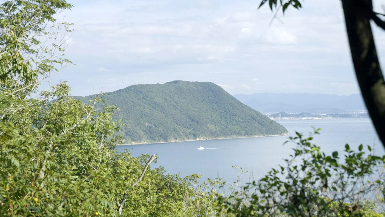 さなぎの猫 - 剧照