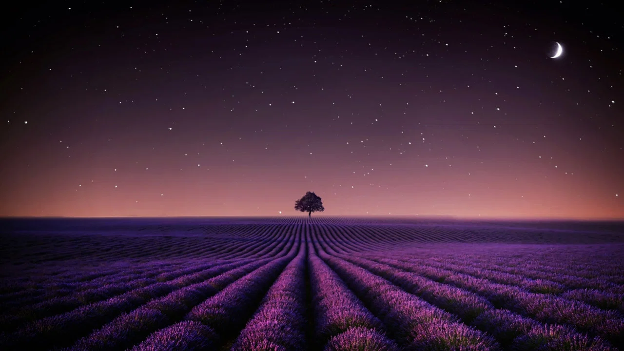 Adieu Aurora - 剧照
