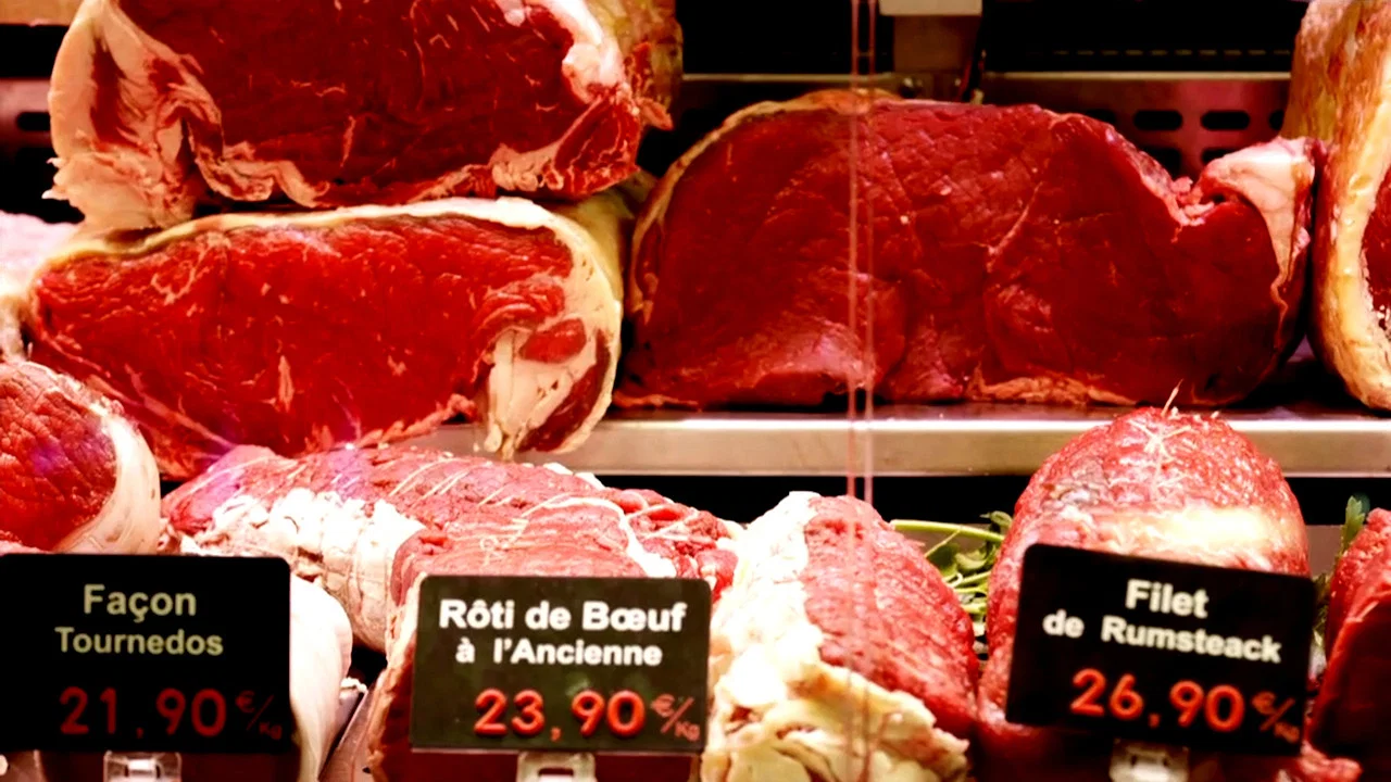 Gut, besser, vegan? - 剧照