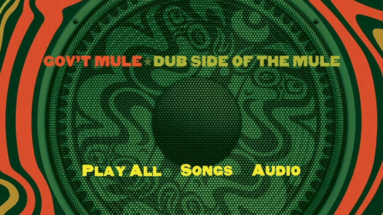 Gov't Mule: Dub Side of the Mule - 剧照