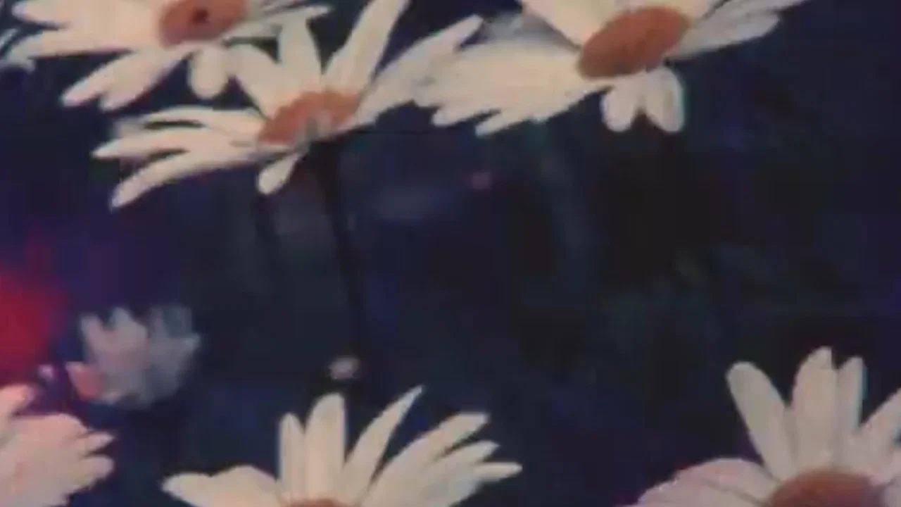 Ofrenda - 剧照