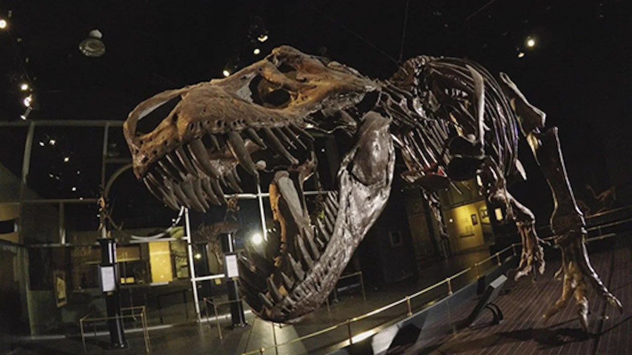 Dinosaur Extinction: Behind the Asteroid Impact Theory - 剧照