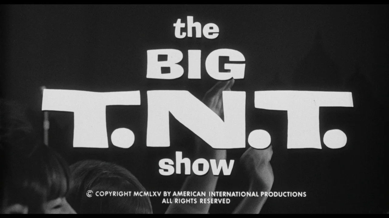 The Big T.N.T. Show - 剧照