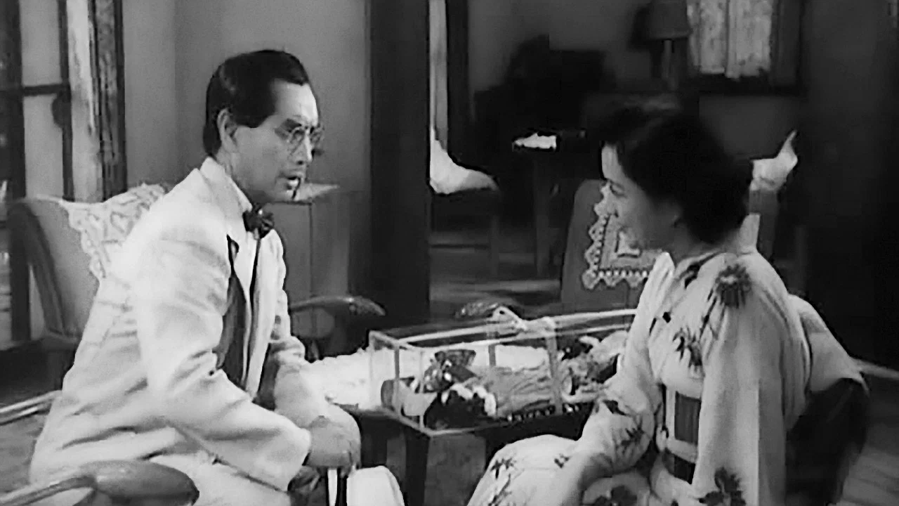 武藏野夫人 - 剧照