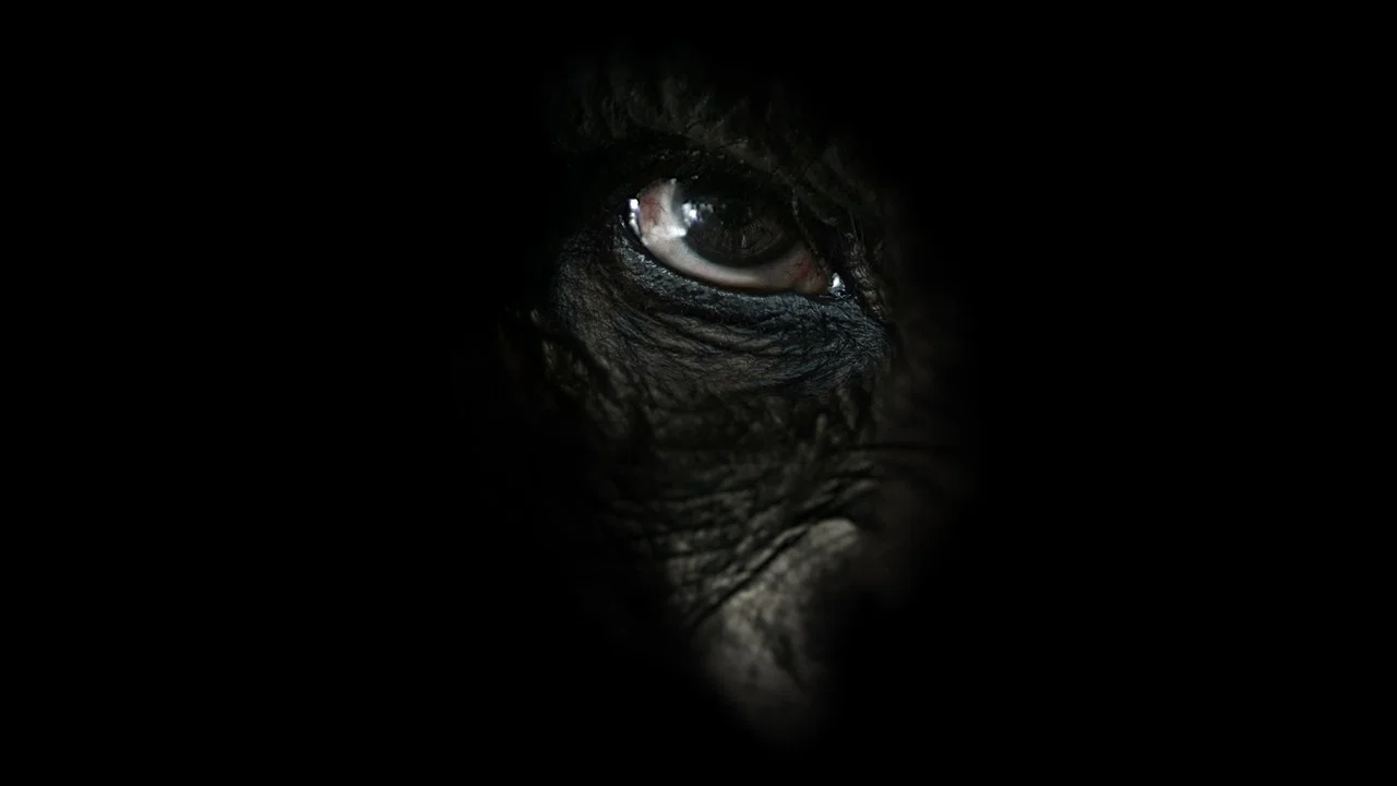 Rise of the Warrior Apes - 剧照