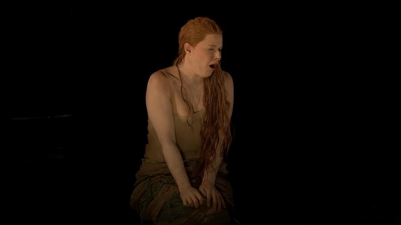 Dvoř&aacute;k:  Rusalka - 剧照