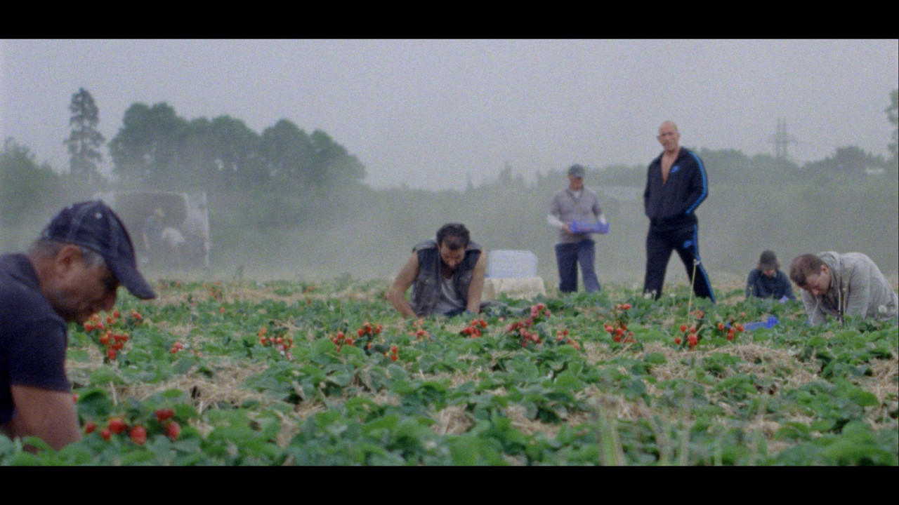 Sunny Life Farms - 剧照