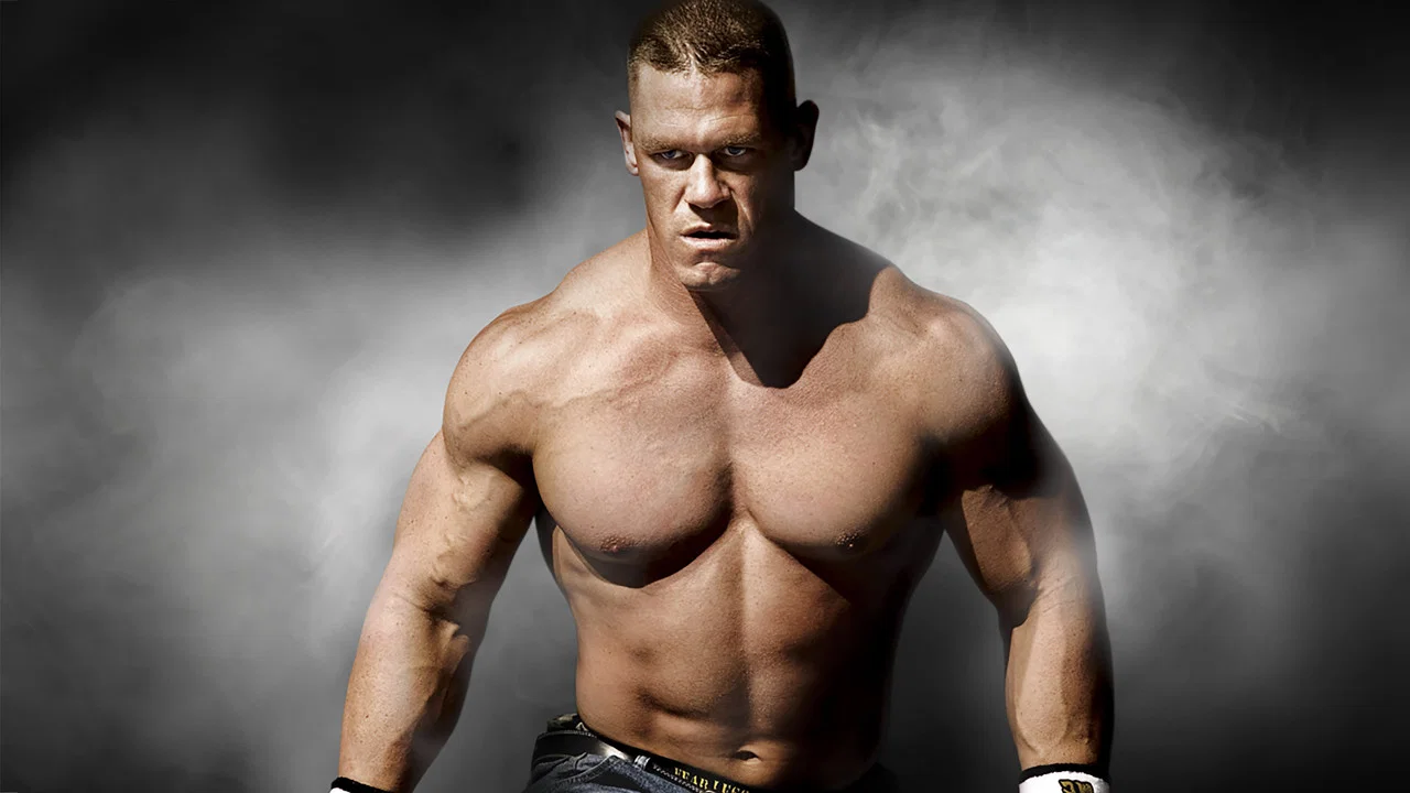 WWE Survivor Series 2008 - 剧照