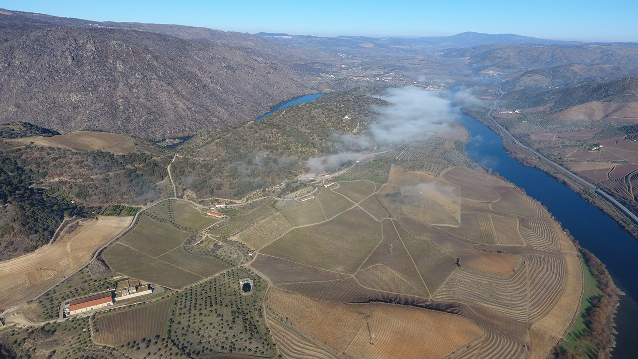 The Douro Boys: Winter Season - 剧照
