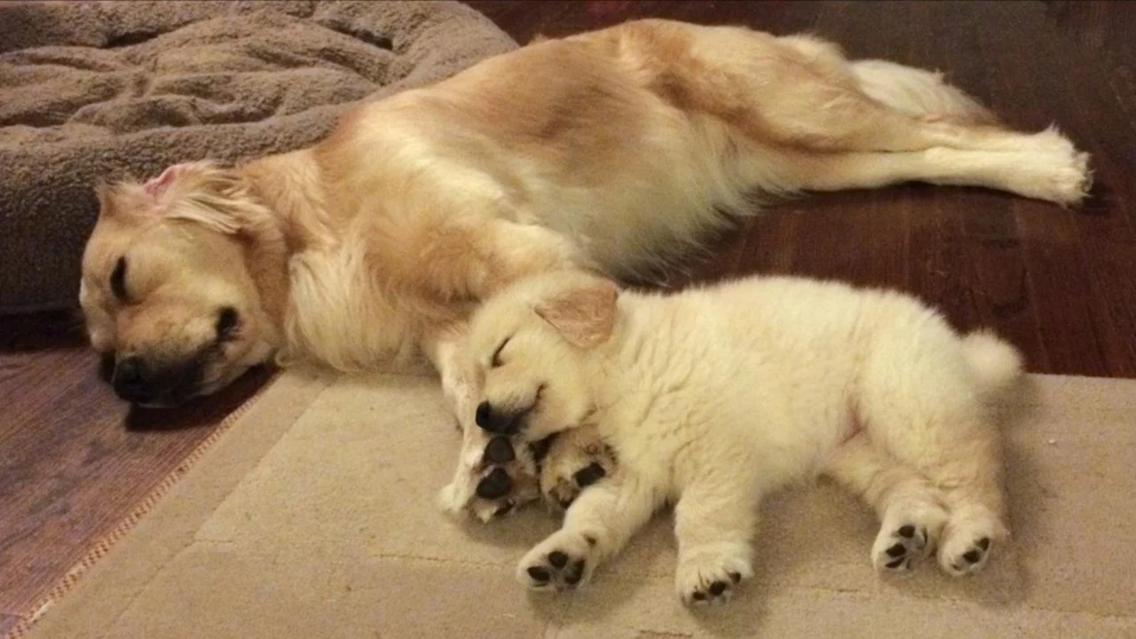 Hopper meets Venkman - 剧照