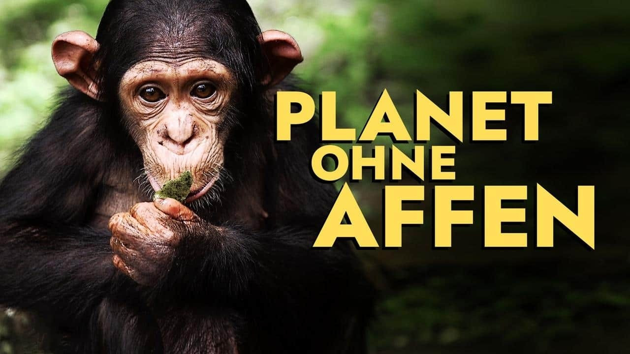 Planet ohne Affen - 剧照