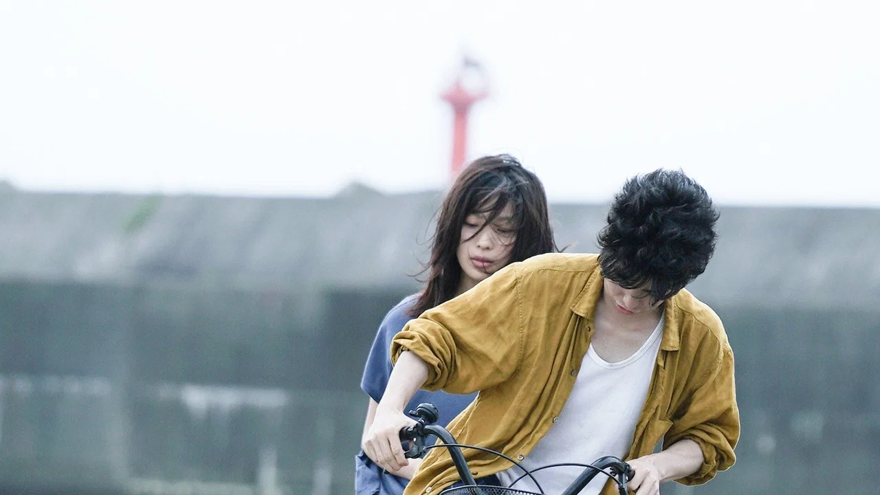 夜间公演 - 剧照