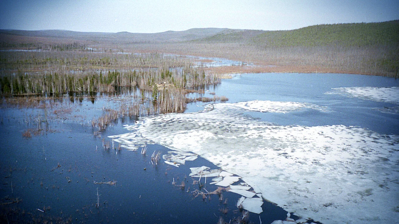 Das R&auml;tsel von Tunguska - 剧照