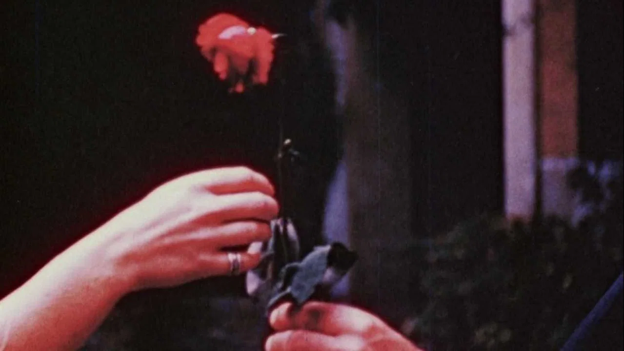 The Assignation - 剧照