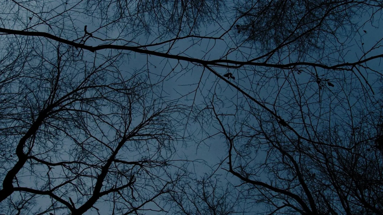 Limbo - 剧照